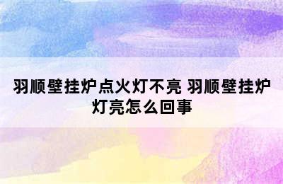 羽顺壁挂炉点火灯不亮 羽顺壁挂炉灯亮怎么回事